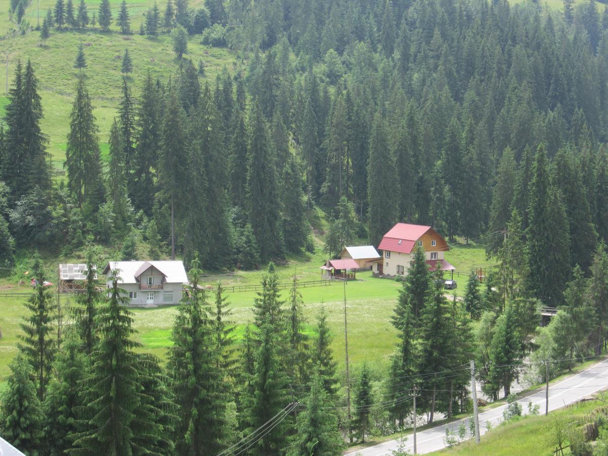 Cabana Georgiana Arieşeni Buitenkant foto