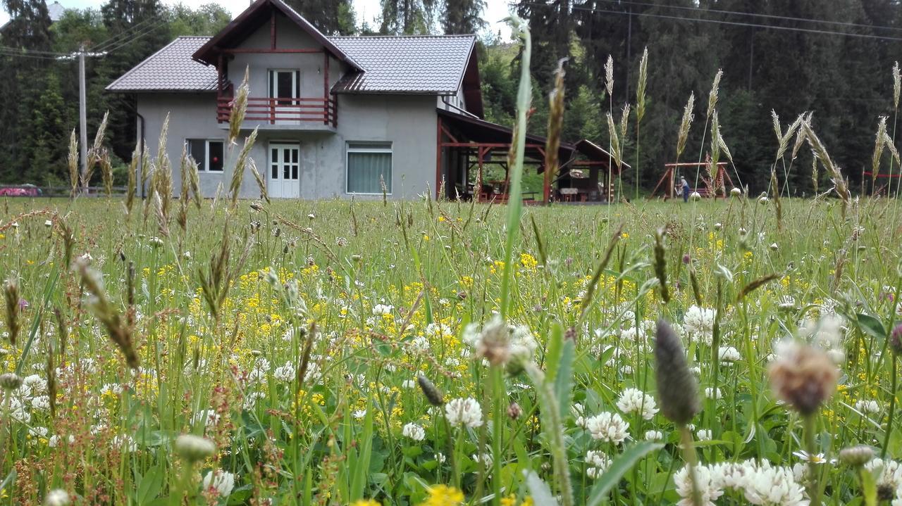 Cabana Georgiana Arieşeni Buitenkant foto